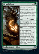 Druid Class [Dungeons & Dragons: Adventures in the Forgotten Realms]